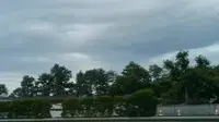 龙江特大桥