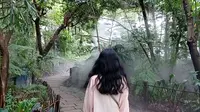 〖毕业旅行〗厦门植物园热带雨林区喷雾仙境