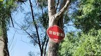 安溪凤山公园半日游
