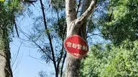 安溪凤山公园半日游