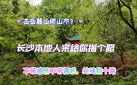 去爬岳麓山不？长沙本地人来给你指个路，哈哈！不带感情不带诱惑，纯纯指路