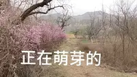 游达川三河口天鹅滩