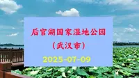 夏季美丽的（武汉市）后官湖国家湿地公园20250709