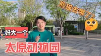Vlog4 | 打卡全华北第二大的动物园！太原动物园的熊猫去哪了？