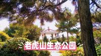 老虎山生态公园：乌兰察布的“城中山”秘境