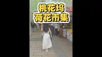 苏州-桃花坞荷花市集