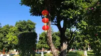 杜阮凉瓜综合体_20230119_102545