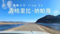 香格里拉的纳帕海太值了！免门票开车进入，只要2元公交车环湖