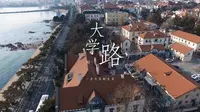 【倚山听海潮】青岛大学路|微纪录片