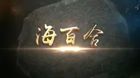 海百合｜《藏品在说话》第四期