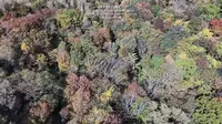 五女峰国家森林公园—无人机拍摄