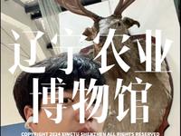旅行VLOG丨沈阳免费小众博物馆丨辽宁农业博物馆丨镇馆之宝900公斤“巨猪”丨适合周末科普遛娃