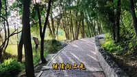 游览兰州白塔山公园