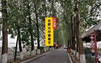 4K闲逛合肥大圩生态农业旅游区