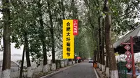 4K闲逛合肥大圩生态农业旅游区