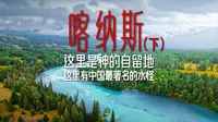 什么？你说在喀纳斯观鱼台能看到水怪？