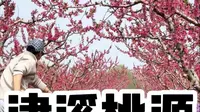 津溪桃源