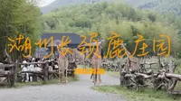 R6 MarkII｜Clog3｜4K｜2025.5.3湖州长颈鹿庄园(更新调色）