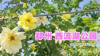 郑州西流湖公园