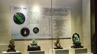 张家口地质博物馆