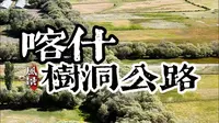 在喀什塔县的树洞公路，好像看见了时空隧道的入口
