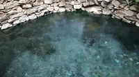 二刷德仲温泉