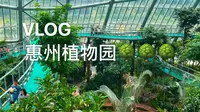 VLOG惠州写真拍照胜地-惠州植物园