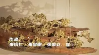 微拍堂：《木幻生金》浙江朱炳仁铜雕艺术博物馆