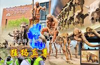 11| 打卡大庆博物馆，动物骨骼墓葬，还有中国最大猛犸象化石
