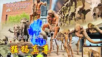 11| 打卡大庆博物馆，动物骨骼墓葬，还有中国最大猛犸象化石