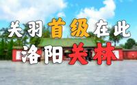 让洛阳告诉你，什么叫底蕴！！！【洛阳关林】