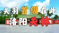 让洛阳告诉你，什么叫底蕴！！！【洛阳关林】