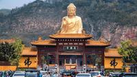 江苏文旅为什么不宣传这里啊？连云港的大伊山石佛寺真的好出片啊