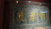 01.18 明孝陵博物馆（内容不多