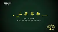 央视持续关注登封，嵩阳书院汉封将军柏的故事......