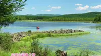 呼伦贝尔避暑游（12）阿尔山国家森林公园 杜鹃湖 石塘林