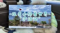 【旅游Vlog】跟着小狗看世界-泸沽湖