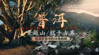 【普洱景迈山糯干古寨】普洱茶香中的诗意栖居|寻觅心灵慰藉的世外桃源
