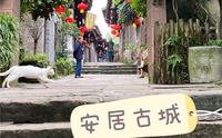 铜梁安居古城！远超重庆十八梯！