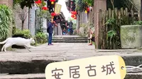 铜梁安居古城！远超重庆十八梯！