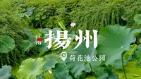 扬州:荷花池公园