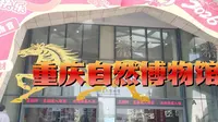 重庆自然博物馆。
