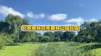 2026年北京 奥林匹克森林公园北园 蔓延开来的绿意盎然 让人心绪宁静