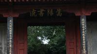 嵩陽書院•嵩陽漢柏•大唐碑