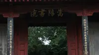 嵩陽書院•嵩陽漢柏•大唐碑