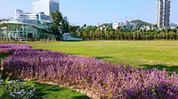 打卡珠海网红景点海天公园，拥有大瀑布和沙漠植物园，风景优美