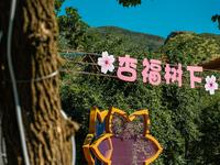 乌素图杏花谷，探访大青山下的杏林秘境