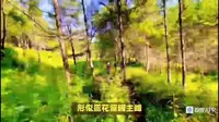 功夫茶：江西大觉山景区，原始森林、峡谷漂流和悬空寺庙