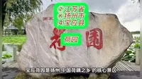 （宝应荷园）②江苏省Ⓚ扬州市⑷宝应县游玩景点分享