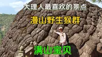 大理不来石宝山白来了，西南的小莫高窟，与野猴子玩一路，太值了